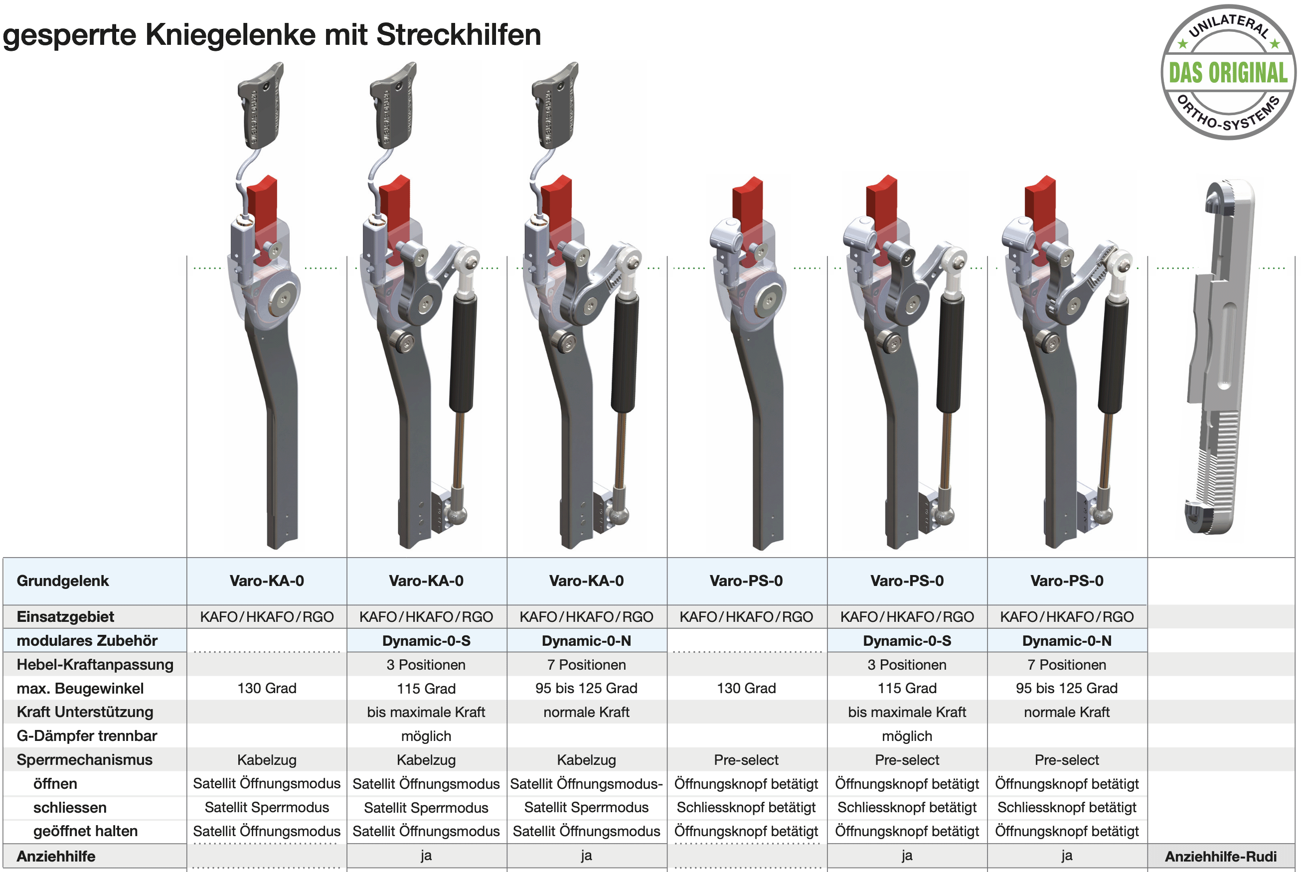 Abbildung 1 zur Funktionsübersicht gesperrte Kniegelenke