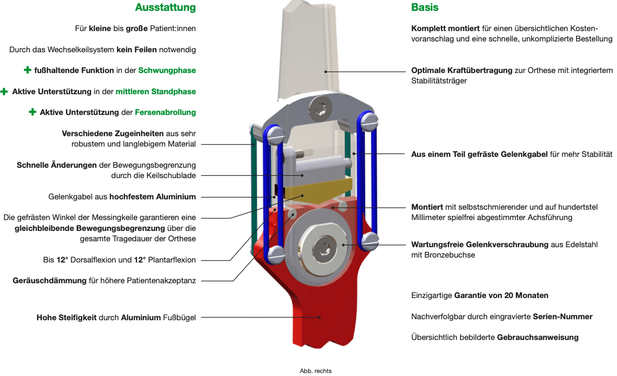 Ausstattung und Vorteile des Ela-Flex Knöchelgelenks