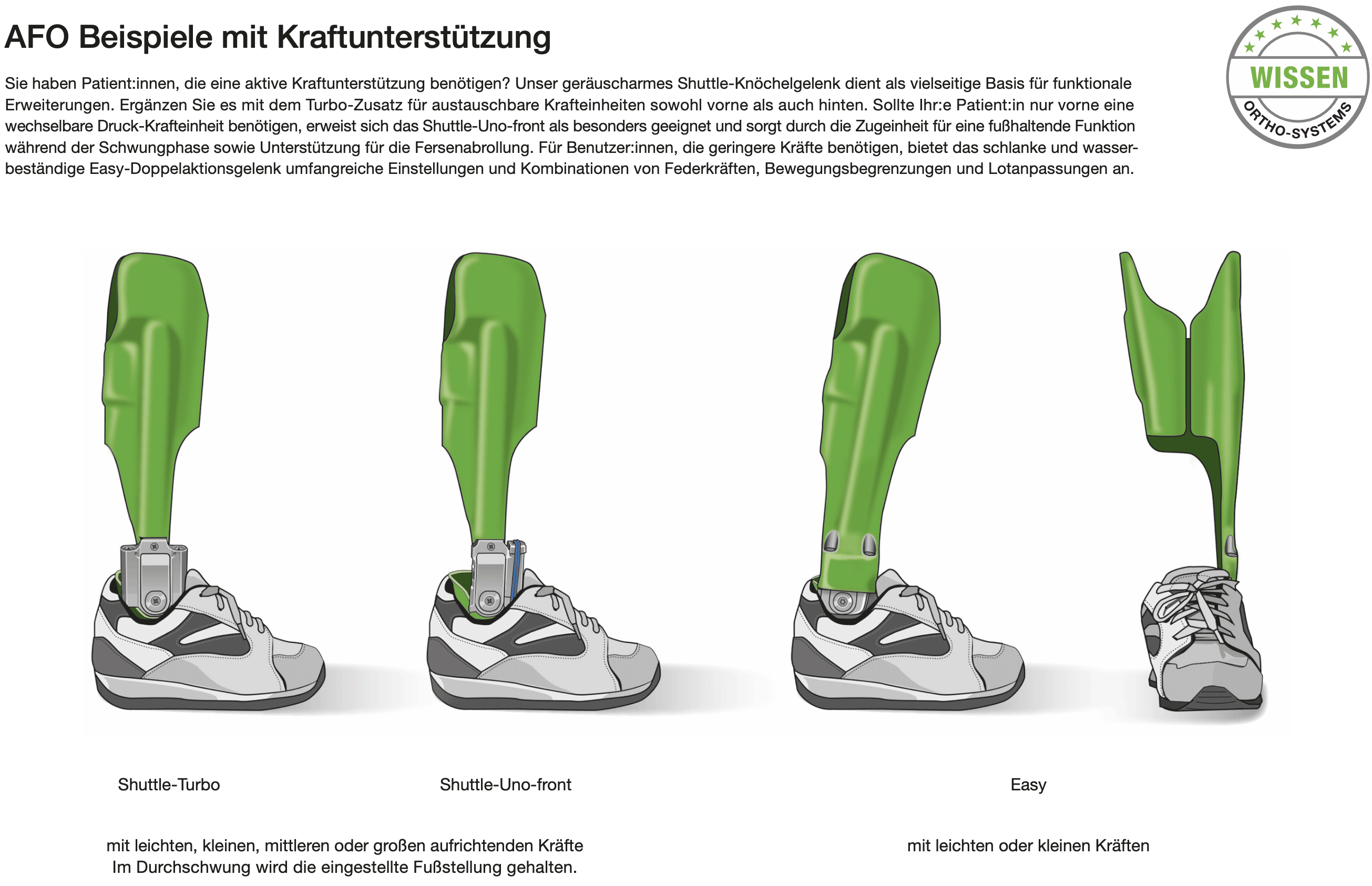 Abbildung 1 zur Funktionsübersicht Knöchelgelenke