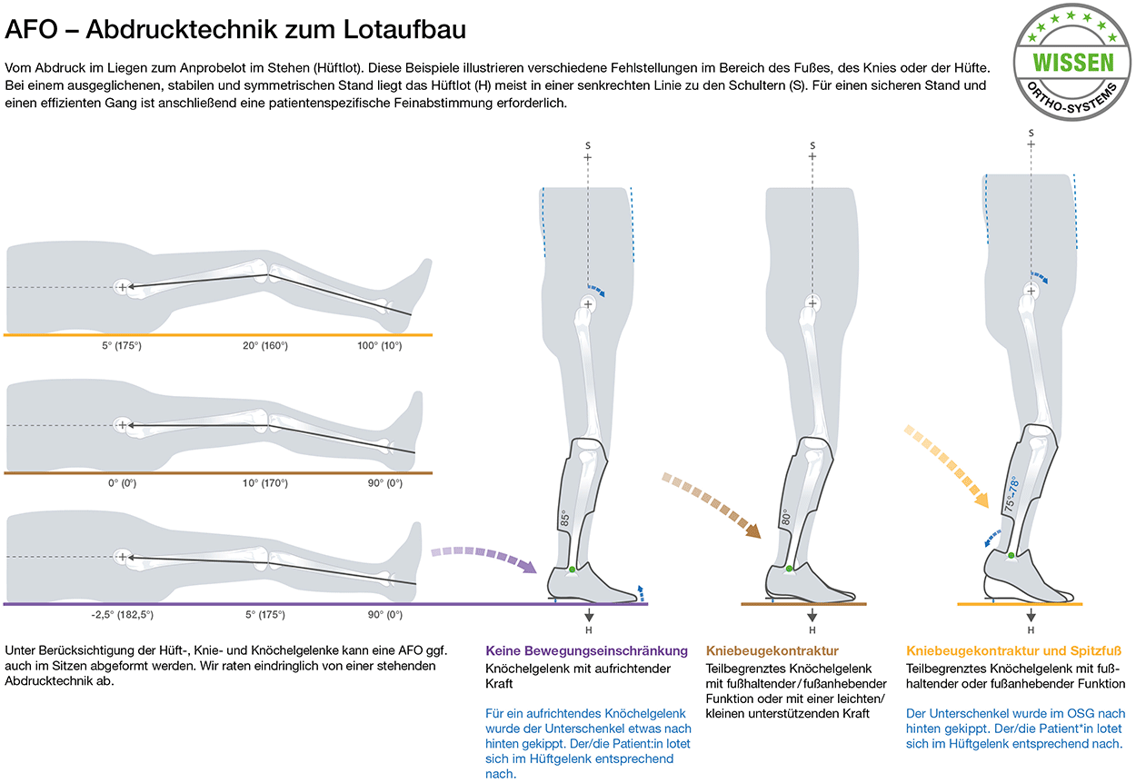 AFO Abform- und Abdrucktechnik - Bild2