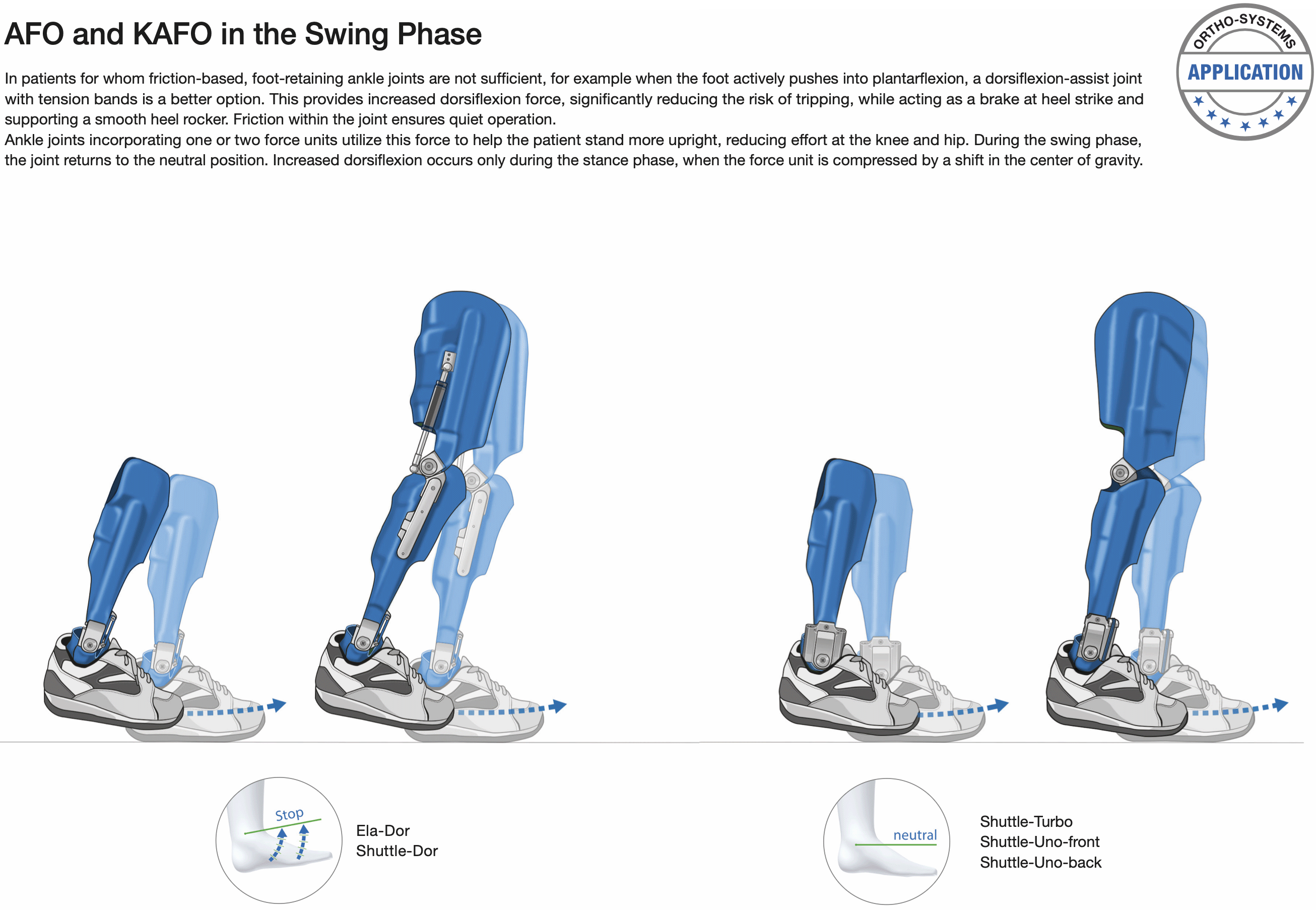 AFO to RGO in the Swing Phase - Image2