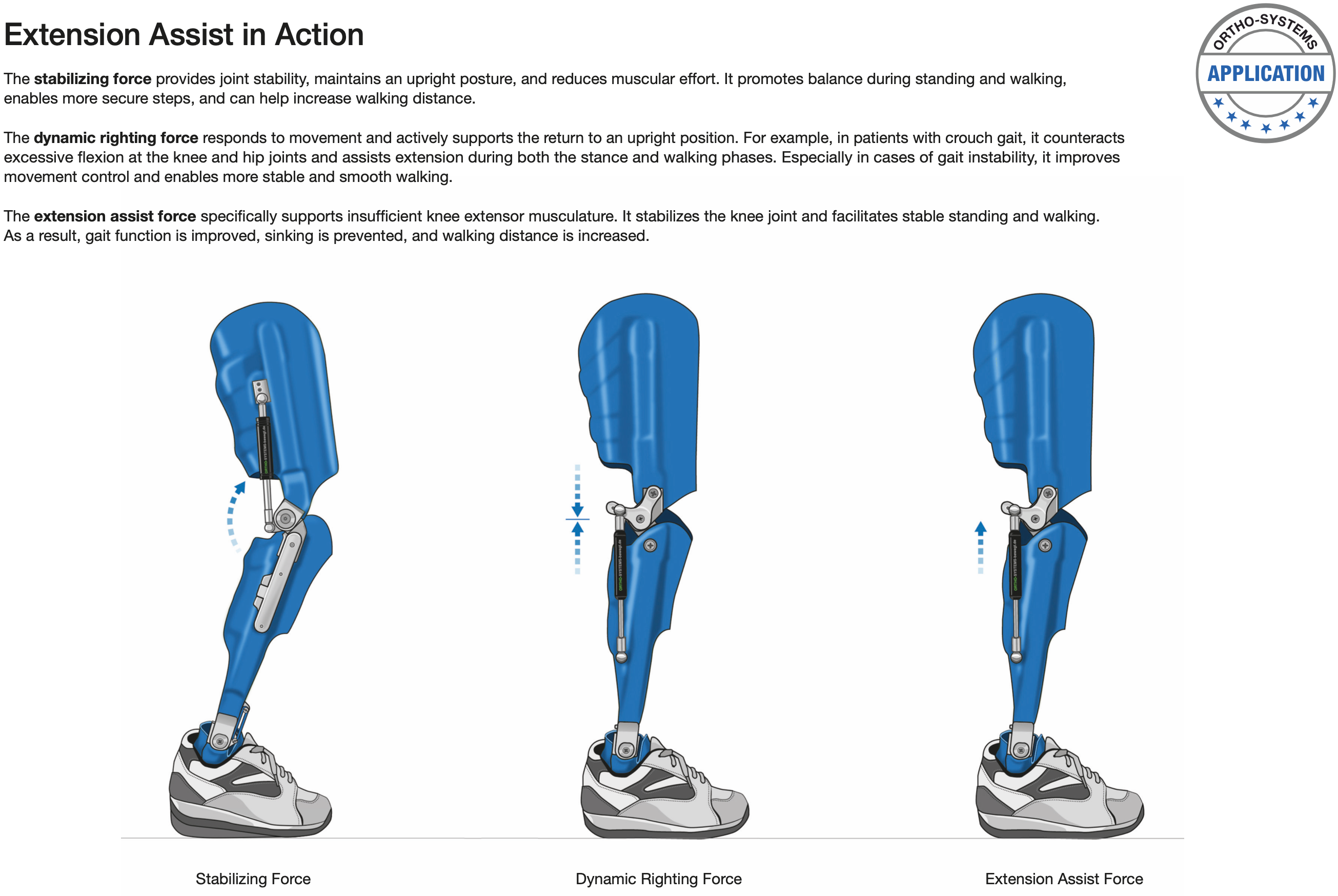 Knee Extension-Assist Applications - Image2
