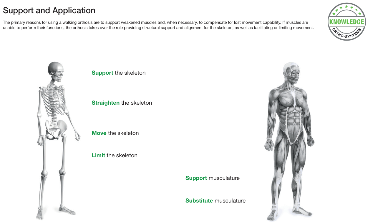 Development and Application - Image 2