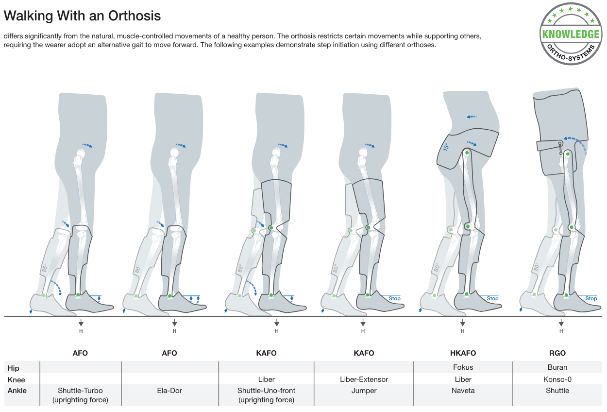 Gait and Walking With an Orthosis - Image 2