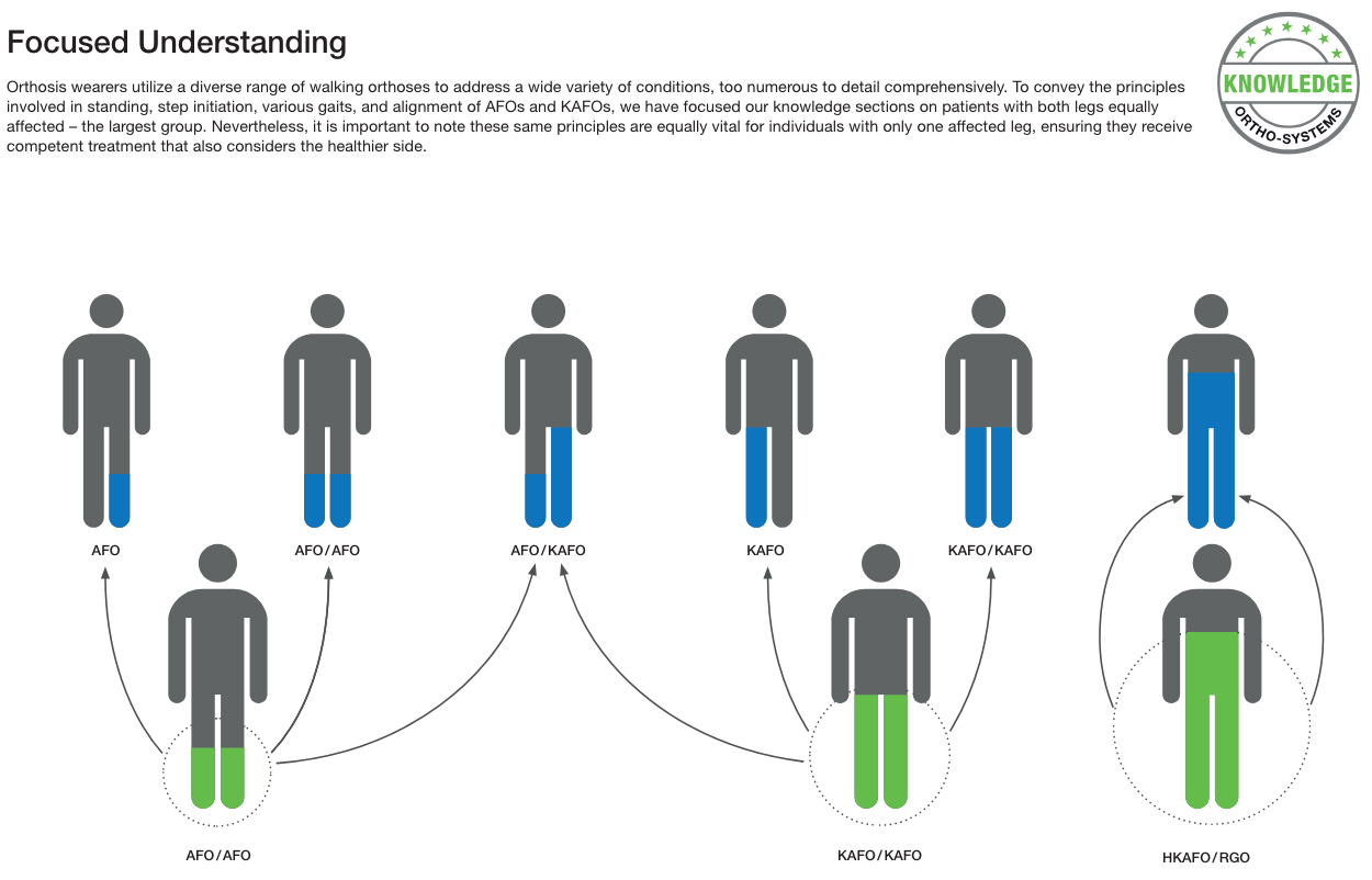 Spectrum and Understanding - Image 2