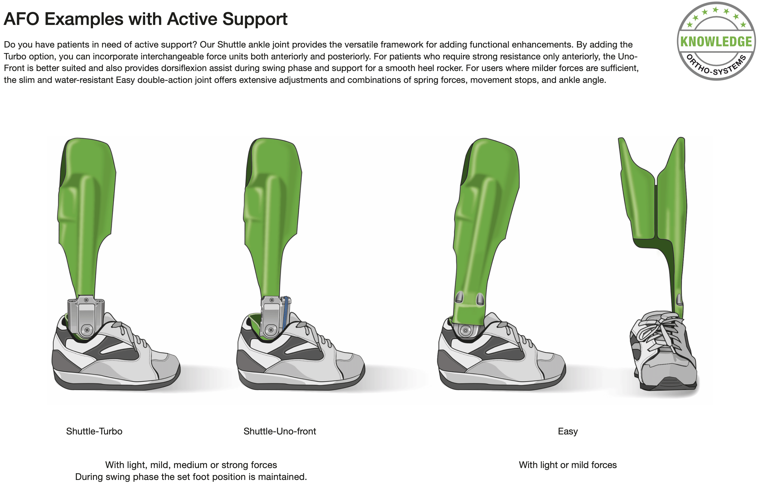 Figure 1 from the functional overview ankle joints